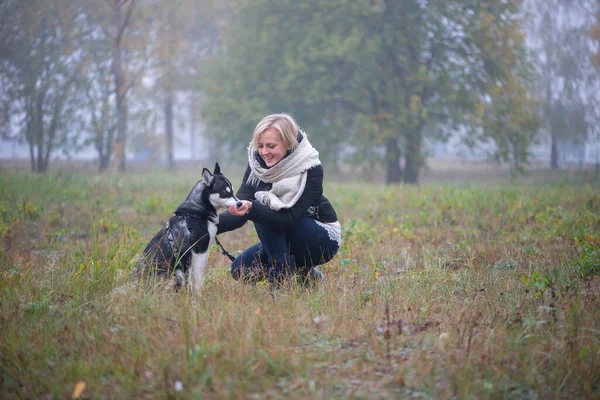 Осенью Городском Парке Играет Молодая Женщина Красивой Сибирской Хаски Собакой — стоковое фото