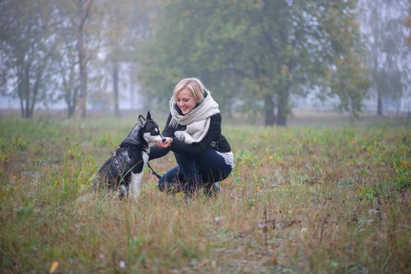 Junge Frau Mit Schönem Sibirischen Husky Hund Spielt Herbst Stadtpark — Stockfoto