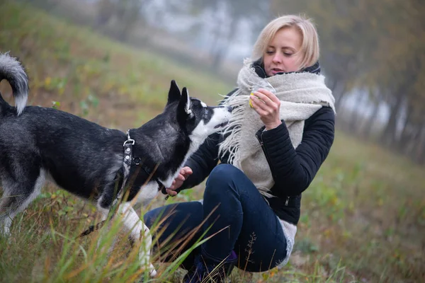 Mladá Žena Krásnou Sibiřský Husky Pes Hrát Městském Parku Během — Stock fotografie