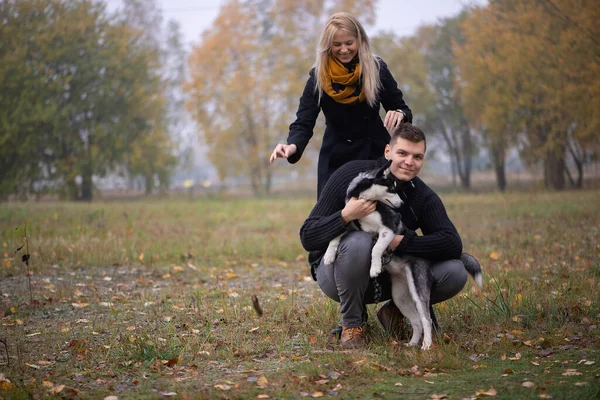 Junges Familienpaar Geht Mit Sibirischem Husky Hund Herbstpark Spazieren — Stockfoto