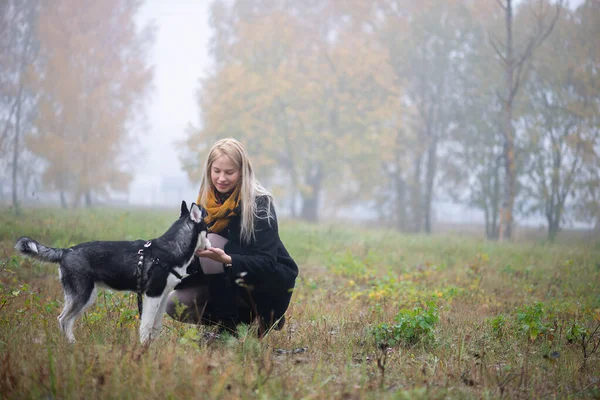 Junge Frau Mit Schönem Sibirischen Husky Hund Spielt Herbst Stadtpark — Stockfoto