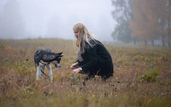 Mladá Žena Krásnou Sibiřský Husky Pes Hrát Městském Parku Během — Stock fotografie