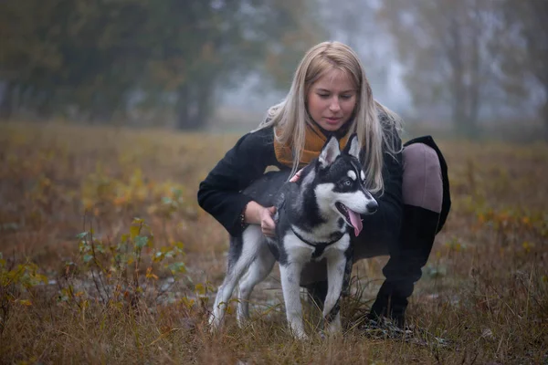 Junge Frau Mit Schönem Sibirischen Husky Hund Spielt Herbst Stadtpark — Stockfoto