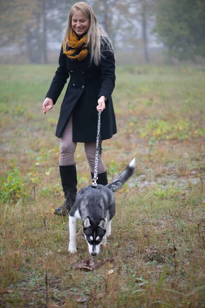 Junge Frau Mit Schönem Sibirischen Husky Hund Spielt Herbst Stadtpark — Stockfoto