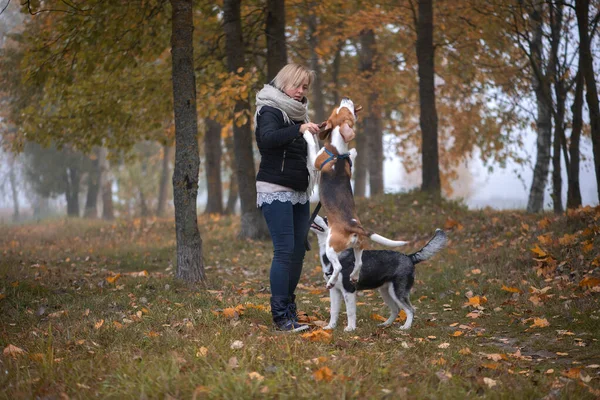 Junge Tierbesitzerin Mit Zwei Hunden Spielt Herbstlaub — Stockfoto