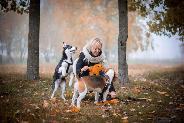 Young woman pet owner with two dogs playing in autumn leaves