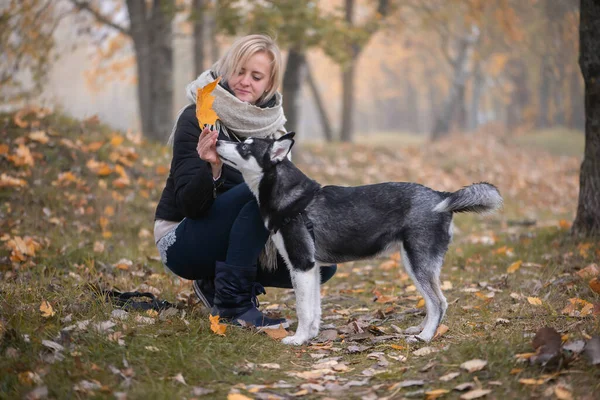 Mladá Žena Krásnou Sibiřský Husky Pes Hrát Městském Parku Během — Stock fotografie