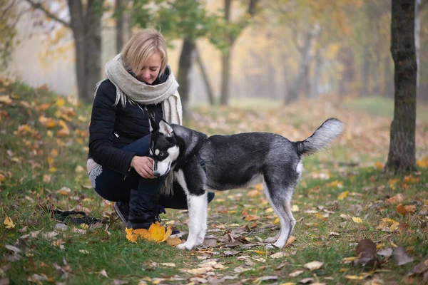 Junge Frau Mit Schönem Sibirischen Husky Hund Spielt Herbst Stadtpark — Stockfoto