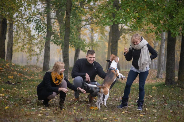 Les Propriétaires Animaux Compagnie Avec Husky Sibérien Chiens Beagle Passer — Photo