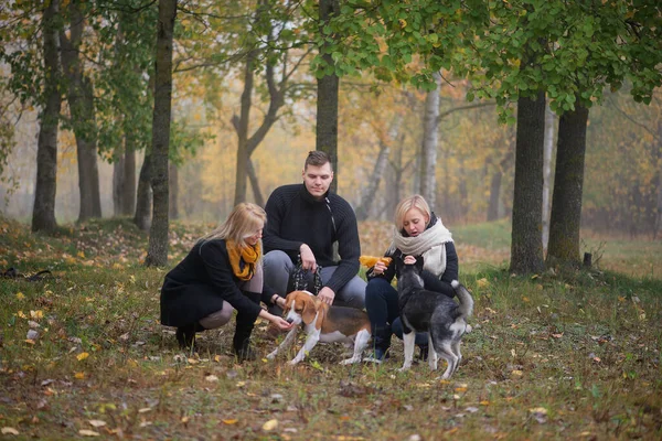 Tierbesitzer Mit Sibirischen Huskys Und Beagle Hunden Amüsieren Sich Einem — Stockfoto