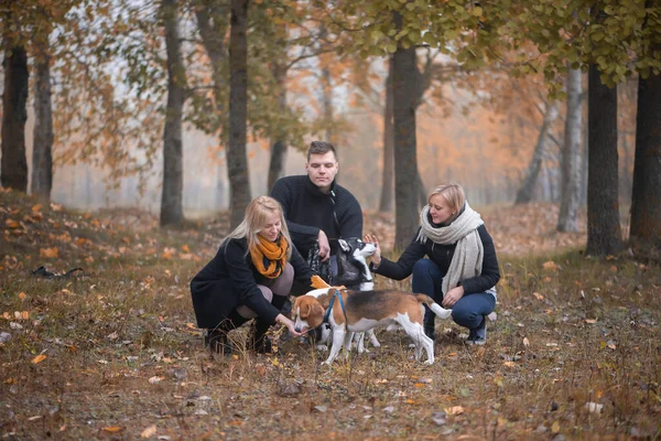 Majitelé Domácích Mazlíčků Sibiřskými Husky Beagle Psy Užívají Městském Parku — Stock fotografie