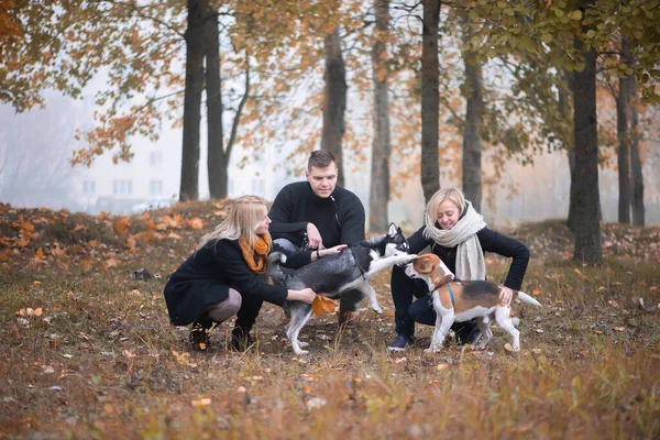 Les Propriétaires Animaux Compagnie Avec Husky Sibérien Chiens Beagle Passer — Photo