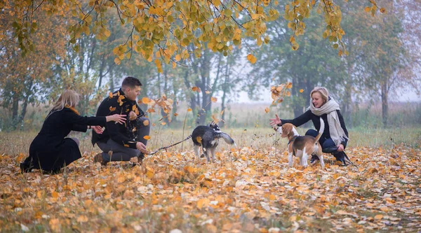 Les Propriétaires Animaux Compagnie Avec Husky Sibérien Chiens Beagle Passer — Photo