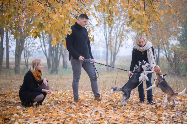 Majitelé Domácích Mazlíčků Sibiřskými Husky Beagle Psy Užívají Městském Parku — Stock fotografie