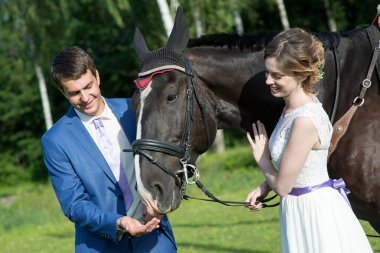 Yeni evli çift, doğada güzel büyük bir atla yaz güneşli bir günde ayakta duruyor.