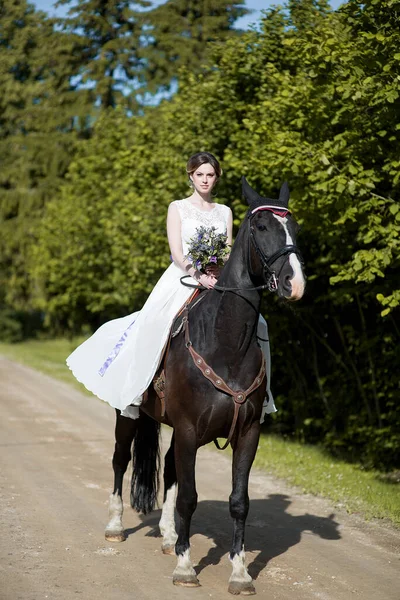 Mooi Portret Van Vrouw Bruid Met Paard Trouwdag — Stockfoto