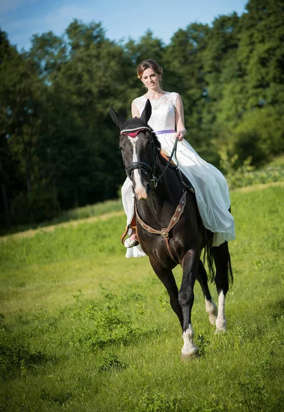 Mooi Portret Van Vrouw Bruid Met Paard Trouwdag — Stockfoto