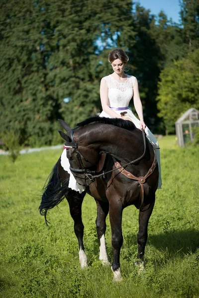 Mooi Portret Van Vrouw Bruid Met Paard Trouwdag — Stockfoto