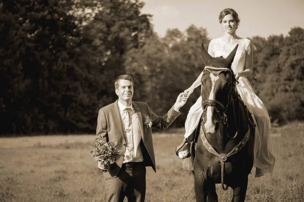 Portrait Extérieur Mariage Belle Mariée Séduisante Débarrasse Cheval Pendant Que — Photo