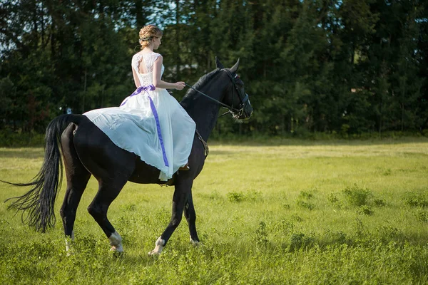 Mooi Portret Van Vrouw Bruid Met Paard Trouwdag — Stockfoto