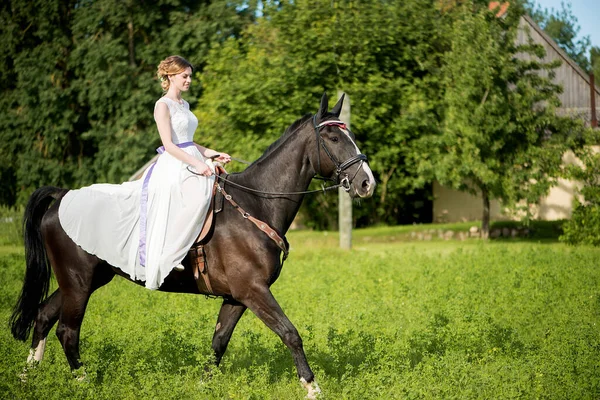 Belo Retrato Mulher Noiva Com Cavalo Dia Casamento — Fotografia de Stock