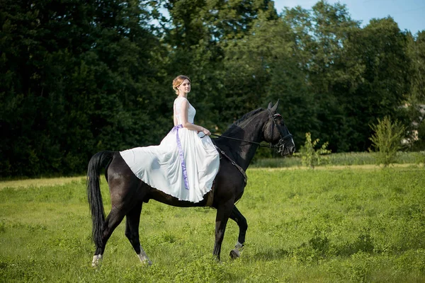 Beautiful Portrait Woman Bride Horse Wedding Day — Stock Photo, Image