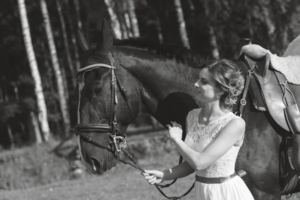 Mooi Portret Van Vrouw Bruid Met Paard Trouwdag — Stockfoto