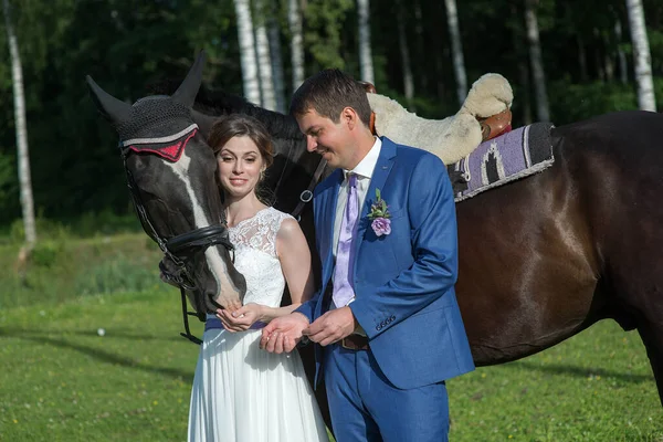 Nygift Par Står Med Vacker Stor Häst Naturen Sommar Solig — Stockfoto