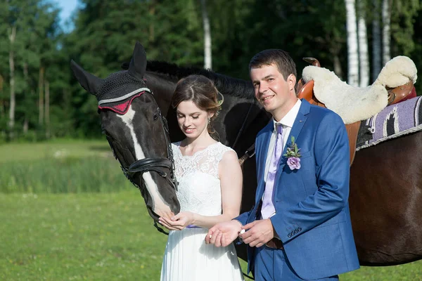 Nygift Par Står Med Vacker Stor Häst Naturen Sommar Solig — Stockfoto