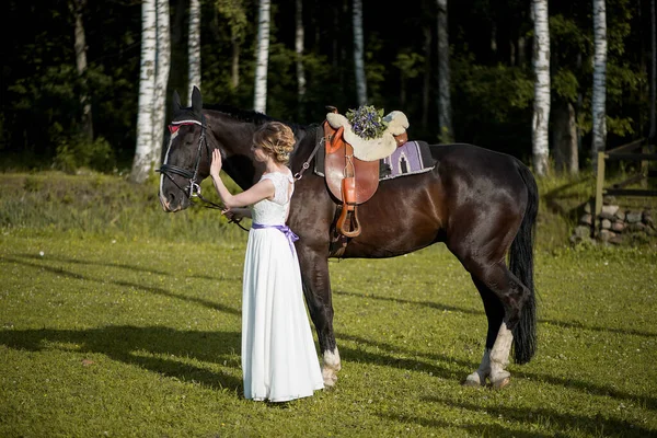 Mooi Portret Van Vrouw Bruid Met Paard Trouwdag — Stockfoto