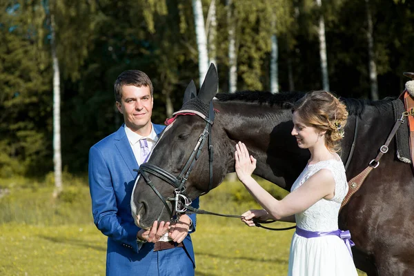 新しく結婚した夫婦は自然界に美しい大きな馬と共に立つ夏の晴れた日 ストック写真