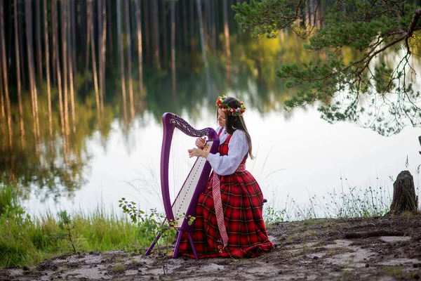 Retrato Uma Mulher Com Uma Harpa Celta Púrpura Bela Fêmea — Fotografia de Stock