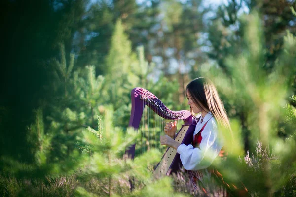 Portrait Woman Harp Beautiful Brown Haired Female Flower Wreath Her — Stock Photo, Image