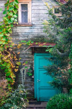 Letonya 'daki eski ahşap bir evde, gün ışığında turkuaz bir kapı, tırmanma bitkileri ve yemyeşil bir bahçe bulunur..