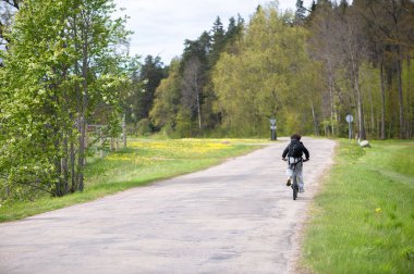 Bir bisikletçi, taze bahar yeşilliği, yumuşak tepeler ve hafif gün ışığı altında yol işaretleriyle kaplı parlak bir Letonya kır yolunda seyahat eder..