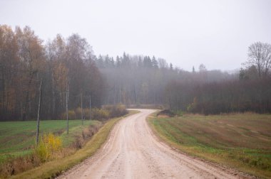 Soluk çakıllı bir yol, açık tarım arazilerinden geçerek sisli bir orman kenarına doğru kıvrılır. Sonbahar renkleriyle ve yumuşak ışıkla Letonya 'da sakin bir kırsal alanı şekillendirir..