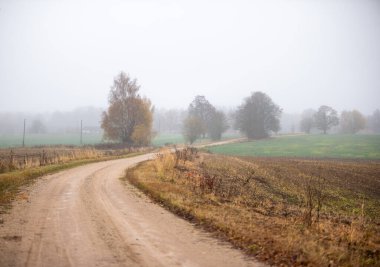 Kibarca kıvrımlı kırsal bir yol sisli tarlalarda ve dağınık ağaçlarda esiyor, Letonya kırsalında yumuşak bir sonbahar atmosferini yakalıyor..