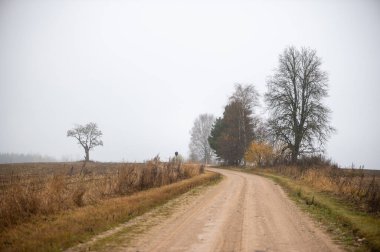 Boş bir toprak yol, açık araziden sisli ormanlık alana doğru uzanıyor ve Letonya kırsalında yumuşak ve sessiz bir sonbahar atmosferi yaratıyor..