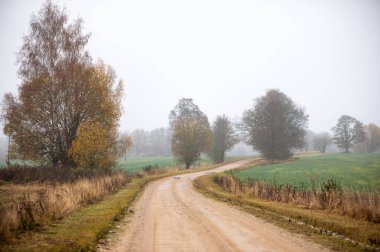 Kırsal bir yol sonbahar tarlaları ve ağaçlar arasında yavaşça kıvrılır, barışçıl Letonya kırsalında hafif siste kaybolur..
