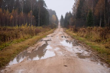 Yağışlı sonbahar ağaçlarını yansıtan büyük su birikintileriyle ıslak toprak yol, Letonya 'nın ormanlık kırsal kesimlerine doğru yumuşak bulutlu ışık altında ilerliyor..