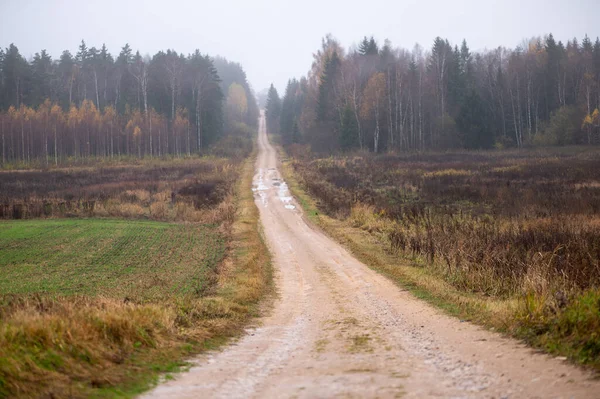 Karışık ormanlarda ve sislerin altında kaybolan sonsuz çakıl yolu Letonya kırsalında uzaklık ve yalnızlık hissini yakalıyor..