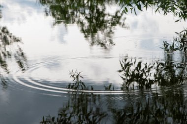 Yansıtıcı suya yayılan hafif yağmur halkaları, değişimi, etkiyi ve adaptif dengeyi temsil eder, kurumsal refah, risk stratejisi ve sigorta mesajlaşması için uygundur..