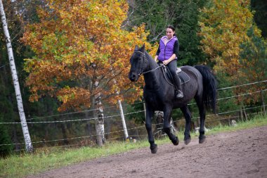 Genç bir kadının yatay kırsal yaşam tarzı fotoğrafı. Siyah bir ata çitli bir çayırda güven içinde rehberlik ediyor. Canlı sonbahar ağaçları gücü, odaklanmayı ve ortaklığı vurguluyor..