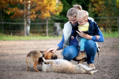 Orta yaşlı bir kadının bir bebekle diz çökmüş halinin yatay görüntüsü. İki köpek oyun oynarken. Topraksı sonbahar tonları duygusal gelişimi, sosyal öğrenmeyi ve açık havada pozitif hayvan temasını vurgular.