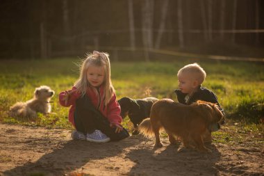 Genç çocukların ve küçük köpeklerin sıcak akşam ışığında birlikte oynamalarının yatay görüntüsü, sosyal gelişimi, merakı ve hayvan destekli öğrenimi vurguluyor..