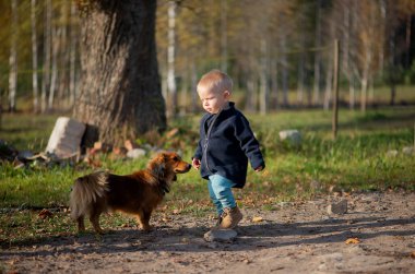 Başka bir köpek yaklaşırken başını bir köpeğe yaslamış genç bir kızın yatay görüntüsü. Sıcak açık havada doğal bir merak ve sosyal hayvan etkileşimi gösteriyor..