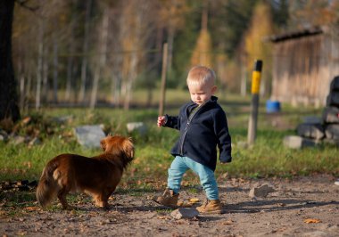 Genç bir kız ve bebeğinin sıcak altın ışıkta yakalanan ve neşeli kırsal aile hayatını ifade eden birkaç küçük köpekle etkileşime girdiği yatay bir görüntü..