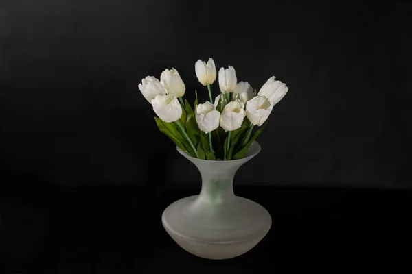 Tulipes Blanches Dans Vase Blanc Photo De Stock