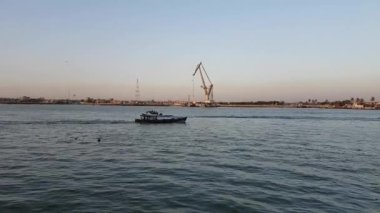 date fruits reap in basket VIDEO