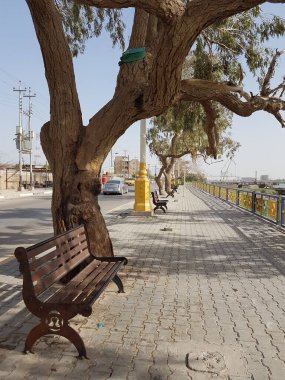 Basra, Irak - 8 Nisan 2016: Basra şehrinde kaldırım kenarındaki ağaçların fotoğrafı